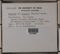 Image Associated With the Occurence